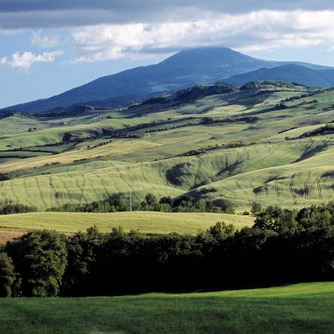 Go for a hike in the surrounding Tuscan countryside or visit Castiglioncello del Trinoro, a five minute drive away