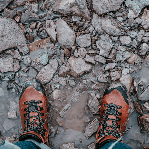 Bring your hiking boots and hit the trails of the nearby Quantock Hills and Blackdown Hills