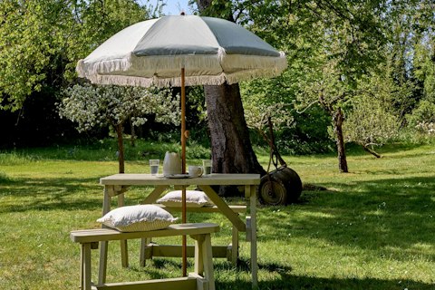 Lunch outside beneath apple blossom in the Suffolk sunshine