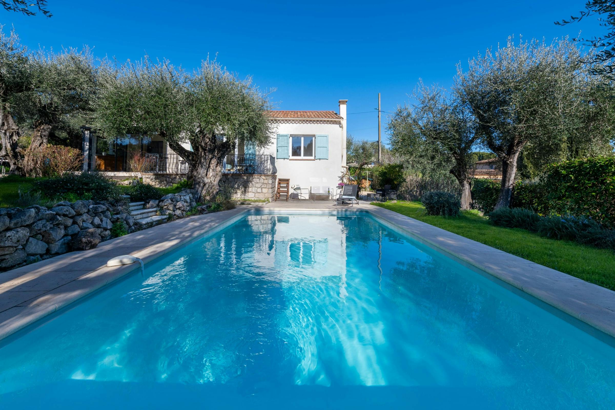 Olive Trees & Blue Shutters