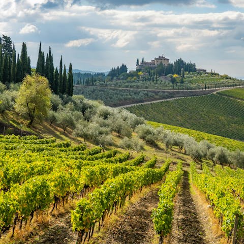 Explore local vineyards and villages in Chianti