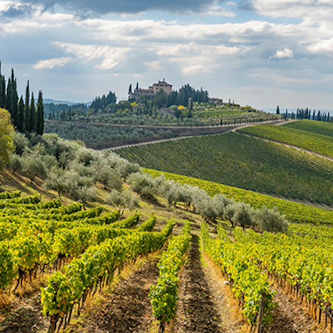 Visit the hilltop town of Radda to pick up a bottle of Chianti Classico