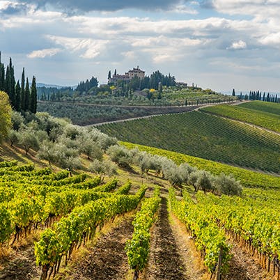 Visit the hilltop town of Radda to pick up a bottle of Chianti Classico