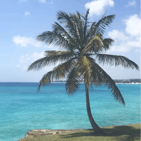 Indulge your senses on the stunning island of Barbados