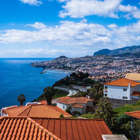 Explore Madeira from this central location near Funchal's promenade