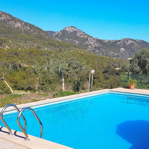 Dive into the refreshing waters of your pristine pool