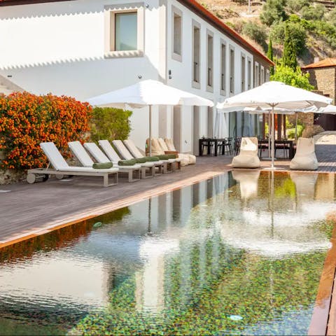 Splash about in the home's infinity swimming pool overlooking the Douro