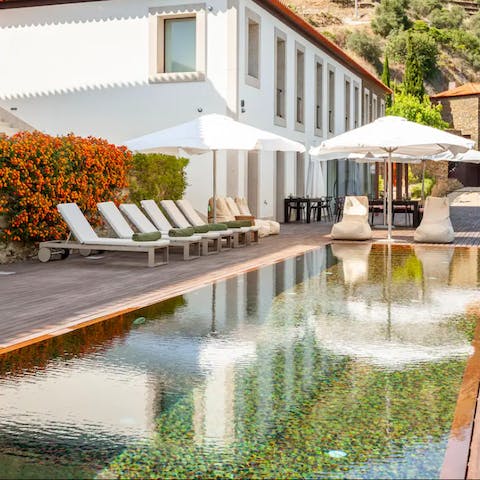 Splash about in the home's infinity swimming pool overlooking the Douro