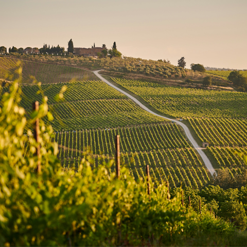 Immerse yourself in the stunning natural beauty of Chianti