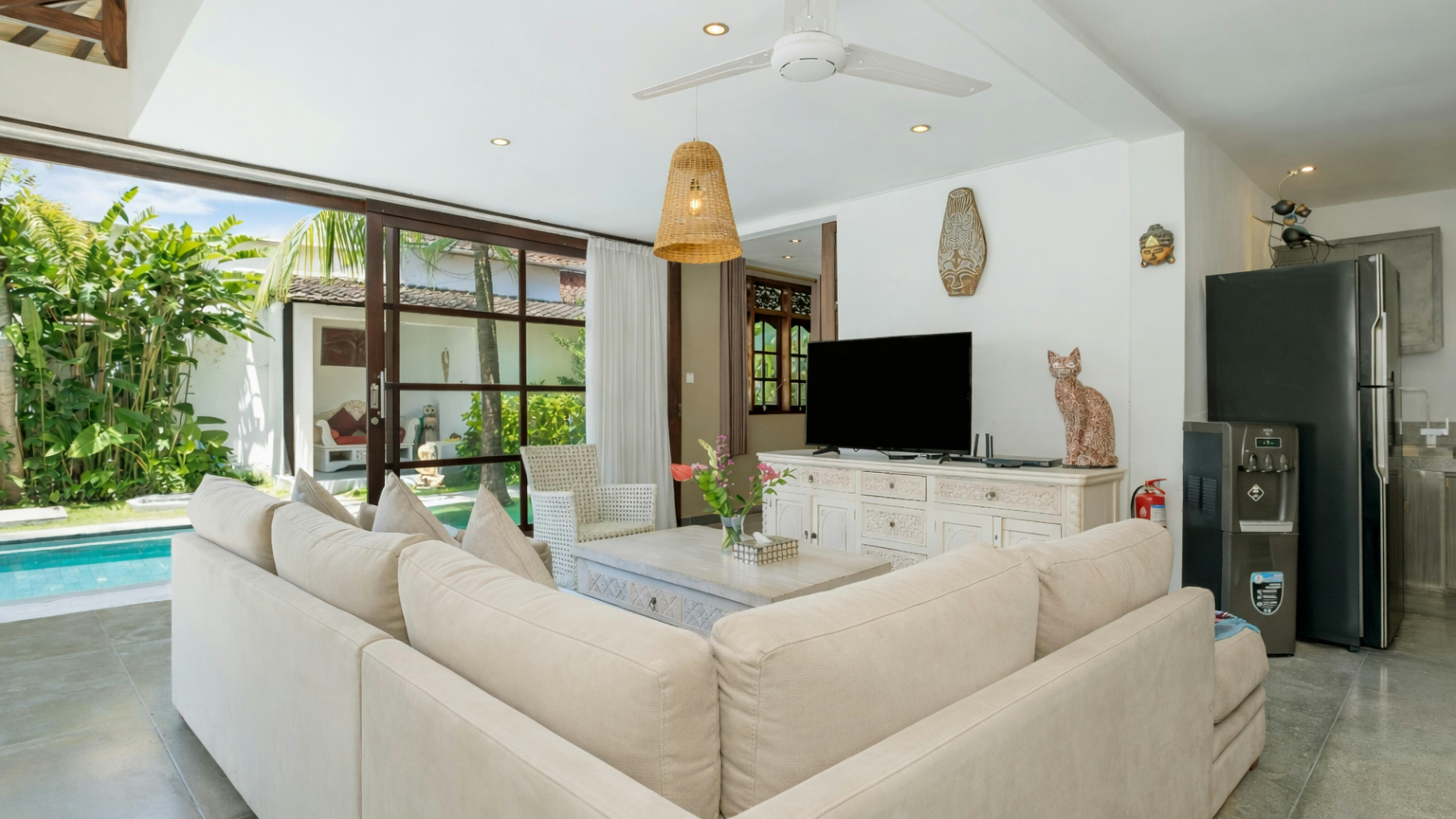 A Splash of Wisteria