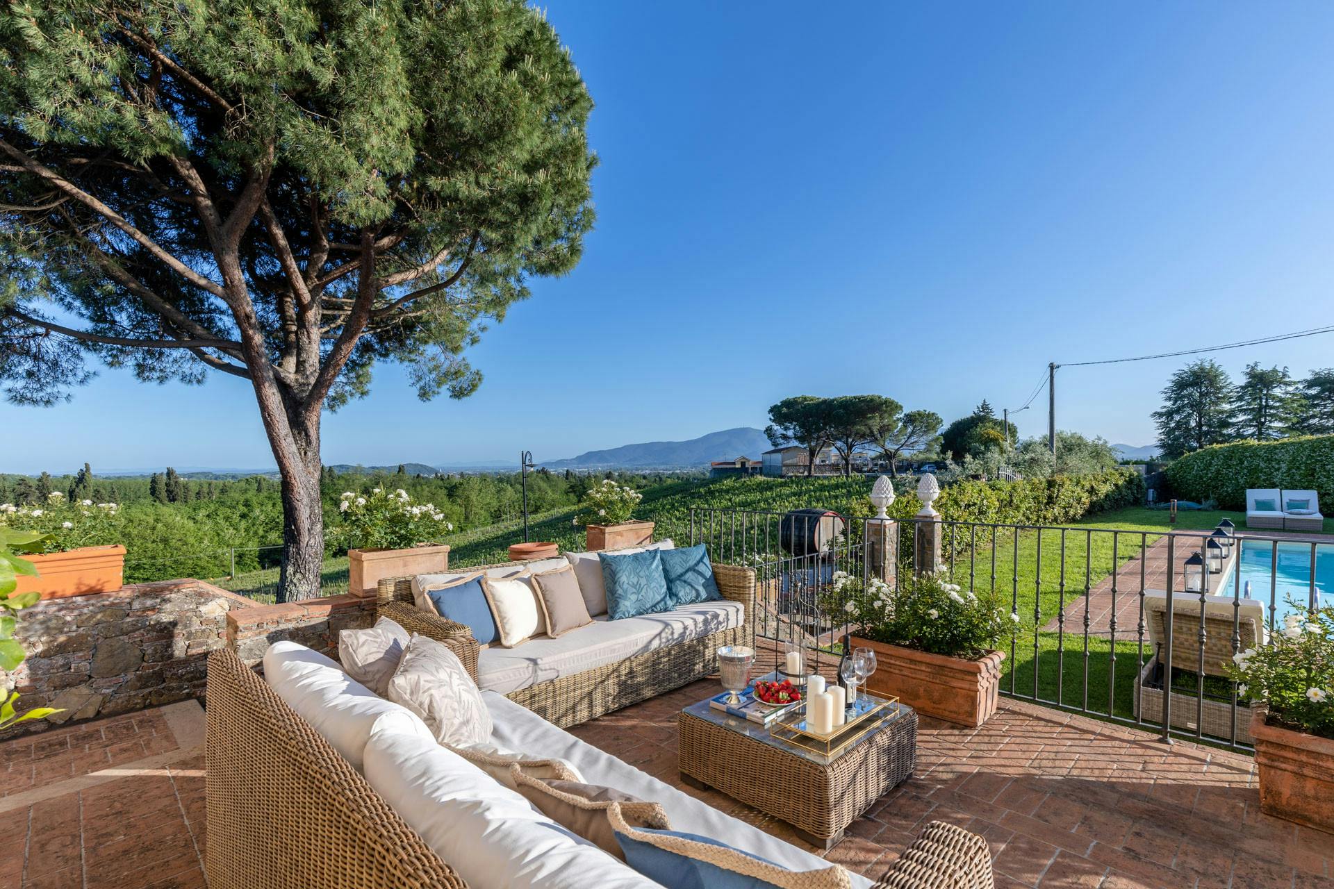 The Winemaker's Neighbour