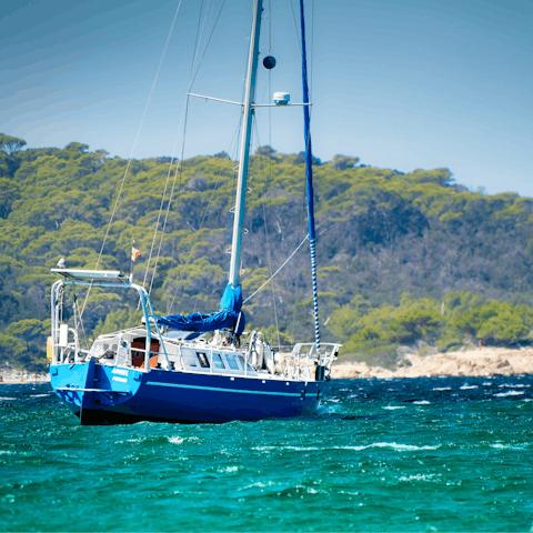 Charter a boat to explore the island from the sea