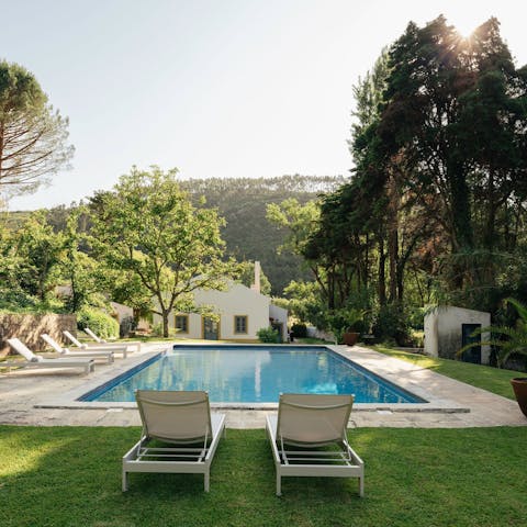 Experience pure relaxation while lounging by the pool