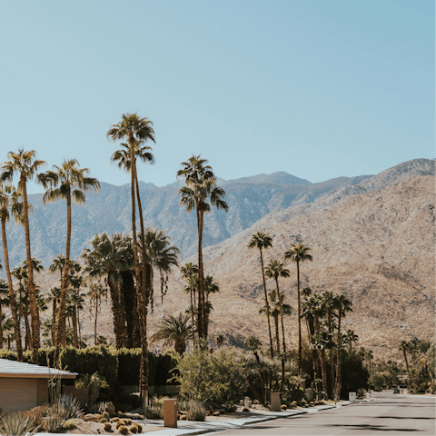 Experience the magic of desert living from the heart of Palm Springs