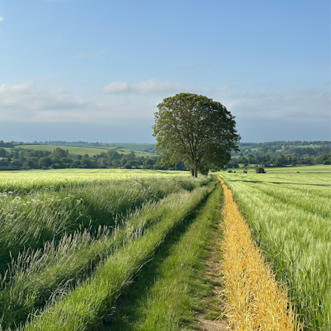 Put on your hiking boots and explore the countryside around Burford