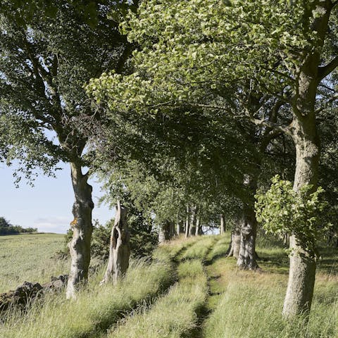 Roam the scenic grounds of the Balcarres Estate, right in your backyard