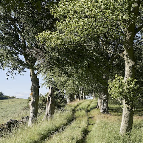 Roam the scenic grounds of the Balcarres Estate, right in your backyard