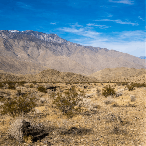 Hike through the Indian Canyons, just a twelve-minute drive away