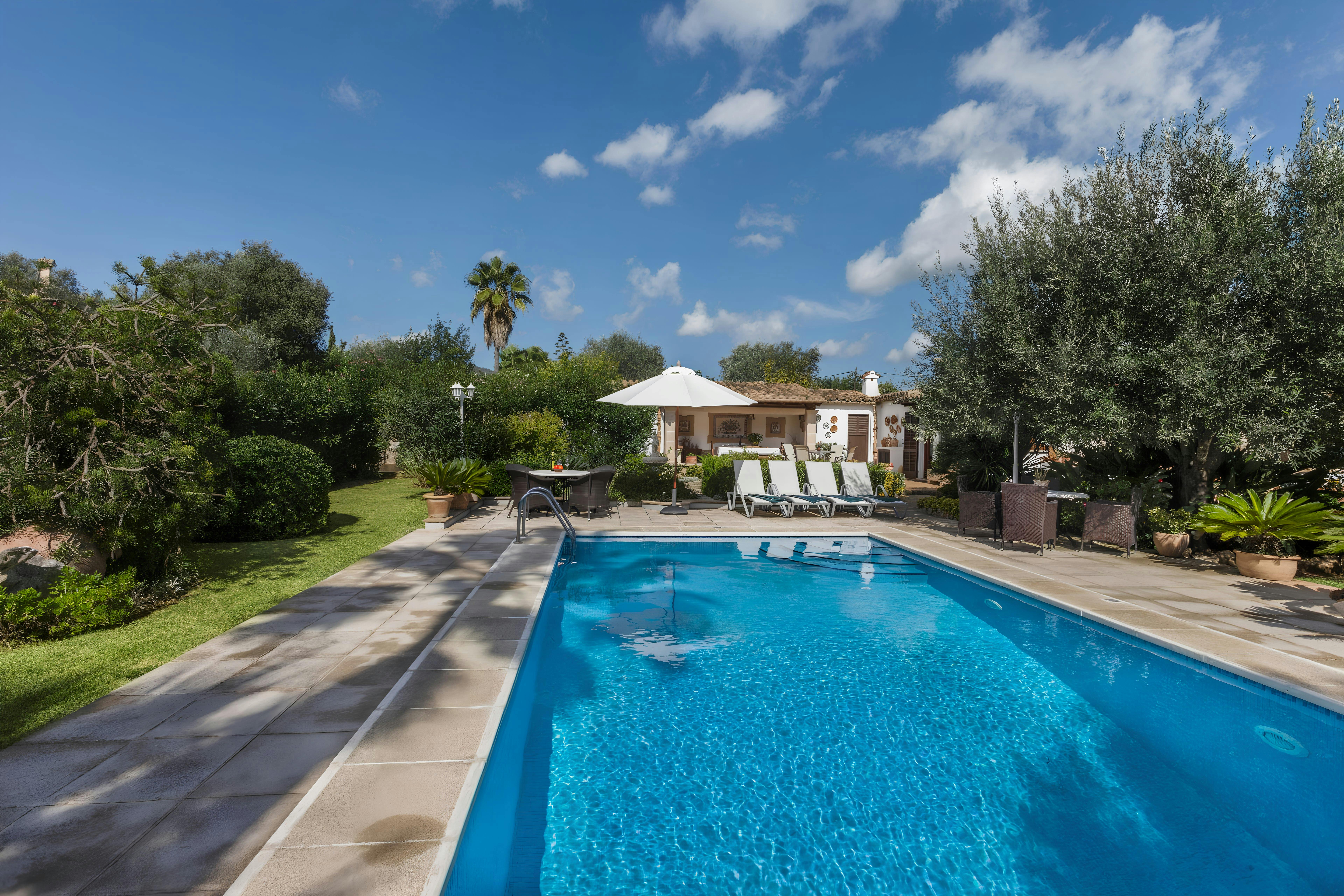 Under the Mountain Sky