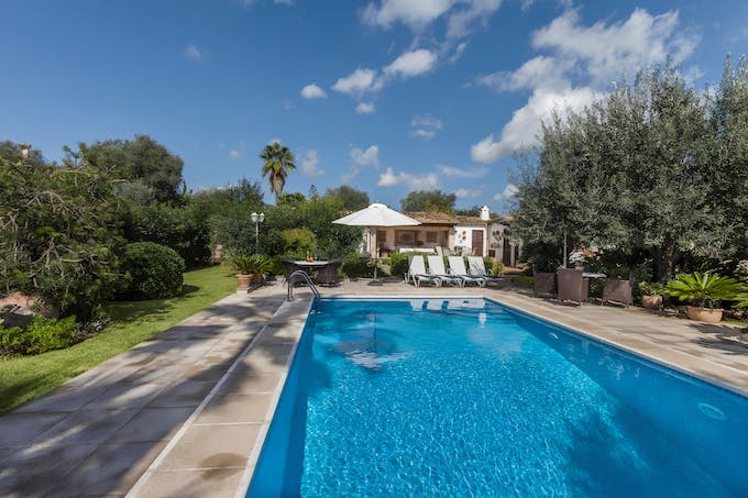 Under the Mountain Sky