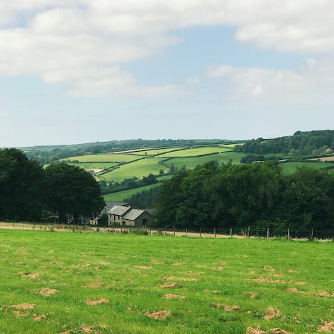 Head inland to the Tamar Valley Area of Outstanding Natural Beauty, twenty-five minutes' drive away