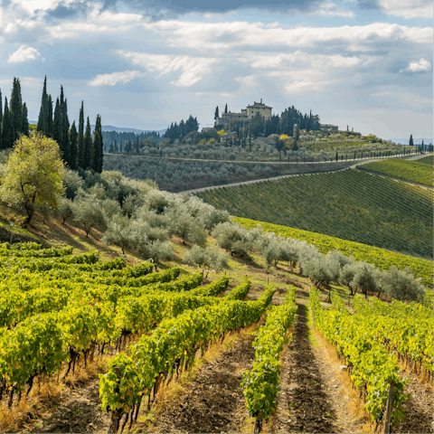Explore the Chianti countryside – Radda is 1.5km away