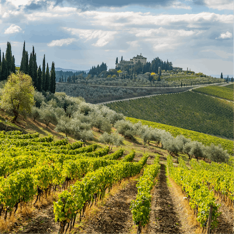 Explore the Chianti countryside – Radda is 1.5km away