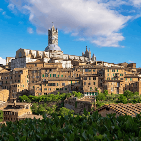 Guests appreciated the host's recommendations for restaurants and places to visit.