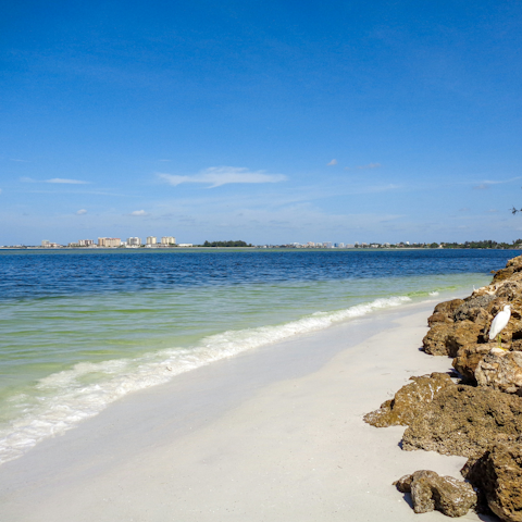 Stay a ten-minute drive from Siesta Key Beach