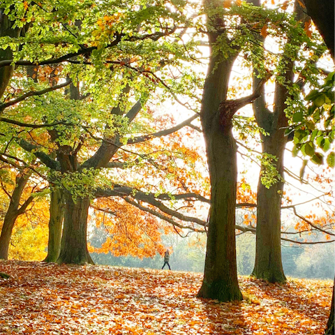 Head to nearby Hampstead Heath for a refreshing stroll