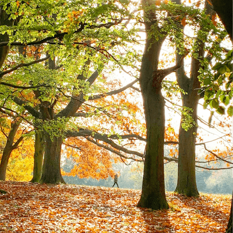 Head to nearby Hampstead Heath for a refreshing stroll