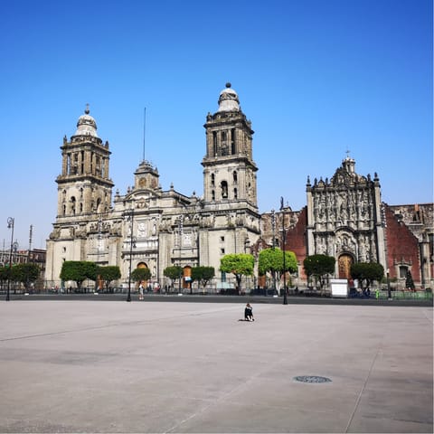 Explore Mexico City and the Polanco district easily from the home