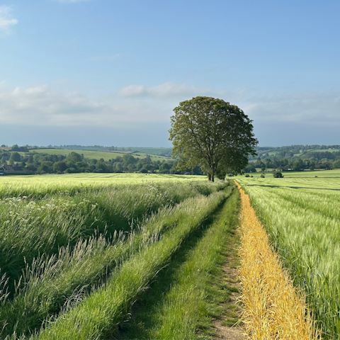 Explore the beautiful countryside of the southern Cotswolds