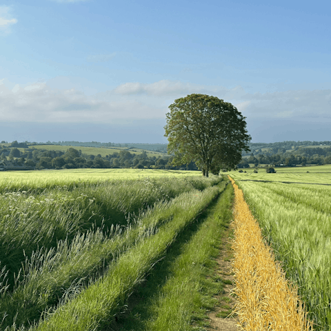 Explore the beautiful countryside of the southern Cotswolds