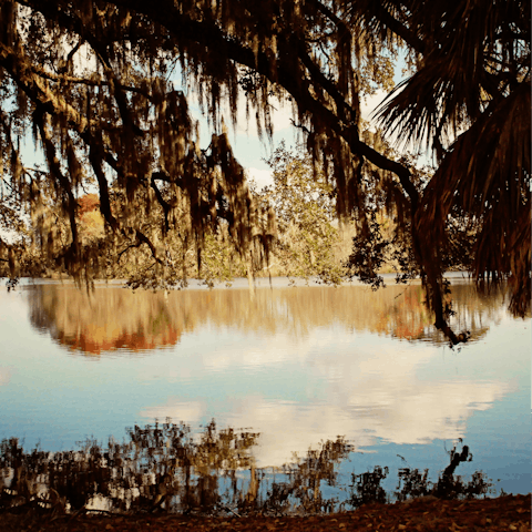 Discover Newnans Lake, sixteen-minutes away by car