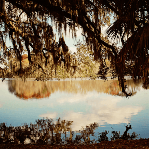 Discover Newnans Lake, sixteen-minutes away by car