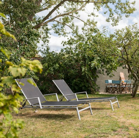 Lounge in the sun