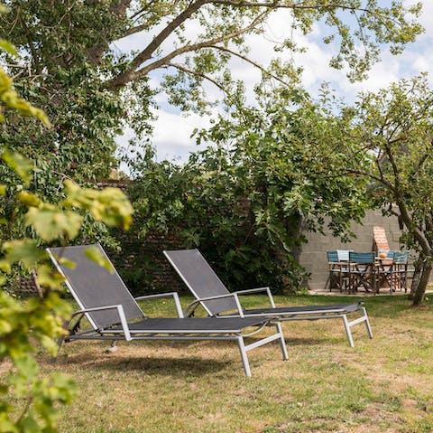 Lounge in the sun