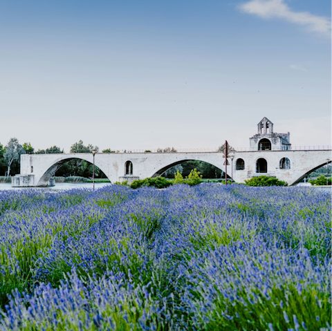 Visit atmospheric Avignon, a five-minute drive away