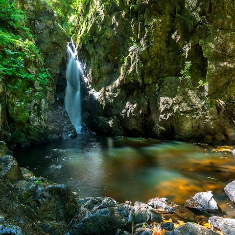 Immerse yourself in the fresh waters to feel one with nature