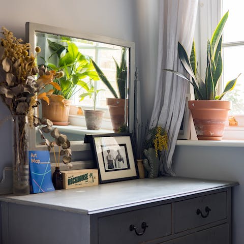 Share your space with the resident pot plants