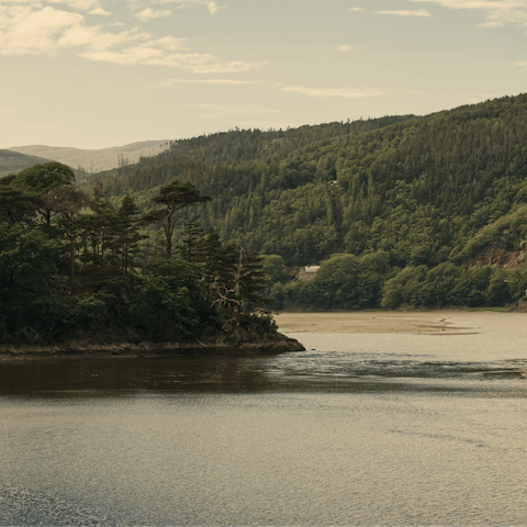 Put on your walking boots and take the Precipice Walk and Mawddach Trail along the waterside