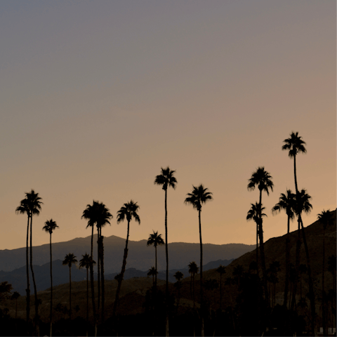 Unwind and savour the desert scenery of Palm Springs