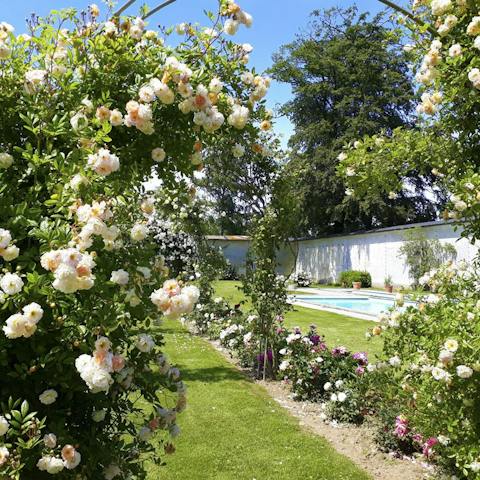 Wander around the chateau's magnificent flower garden