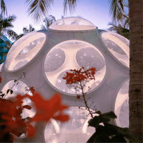 Spend an afternoon exploring Miami Design District