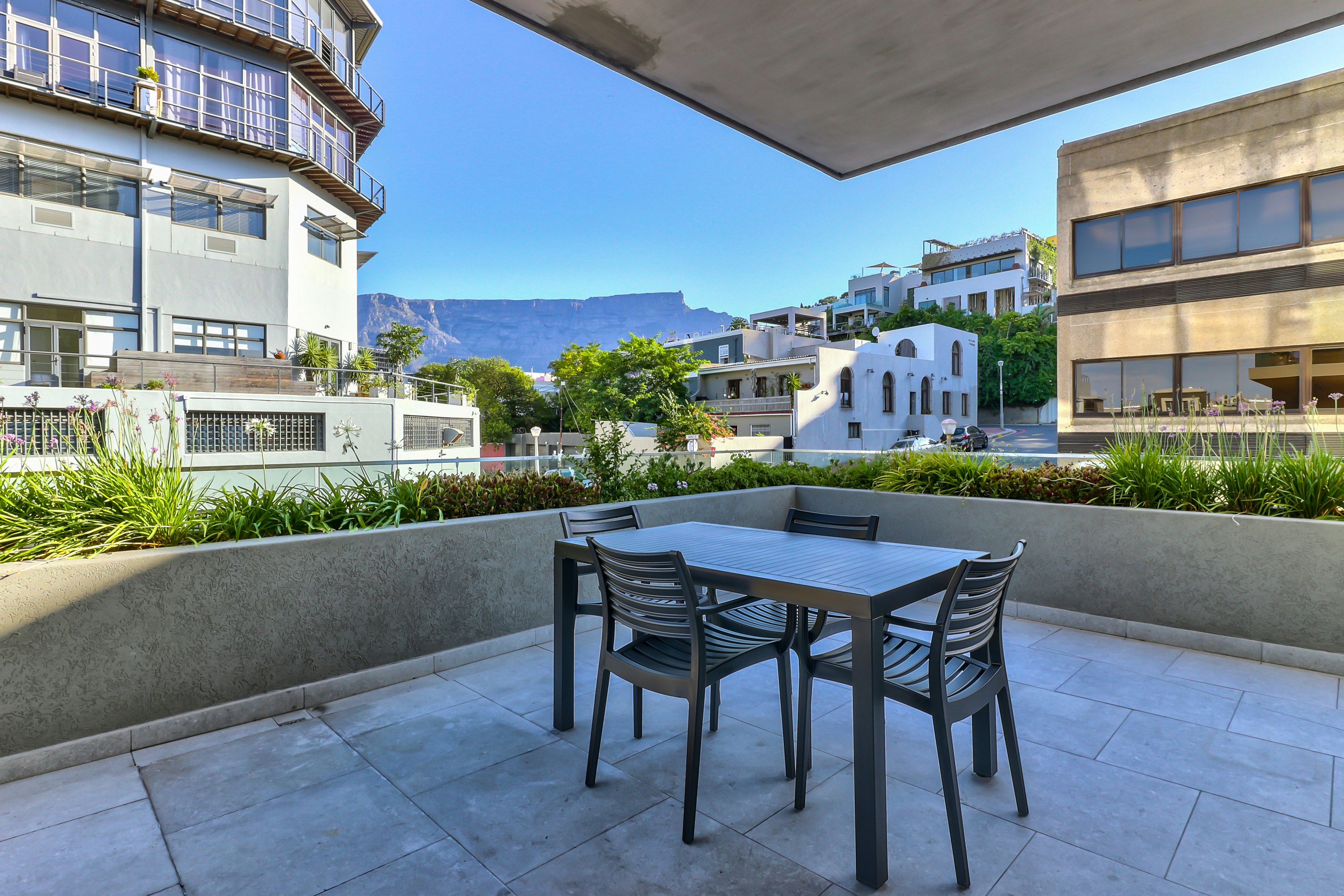 Cape Oasis