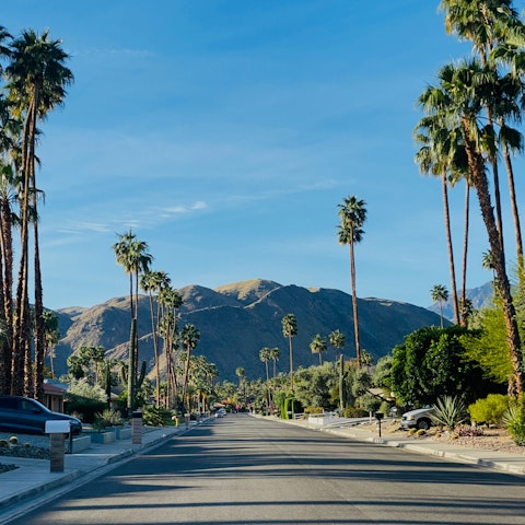 Discover Palm Springs' vibrant downtown scene of dining and boutique shopping
