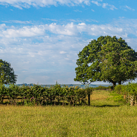 Explore the area, including the New Forest and the Wye Valley