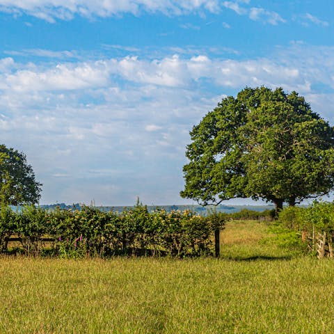 Explore the area, including the New Forest and the Wye Valley
