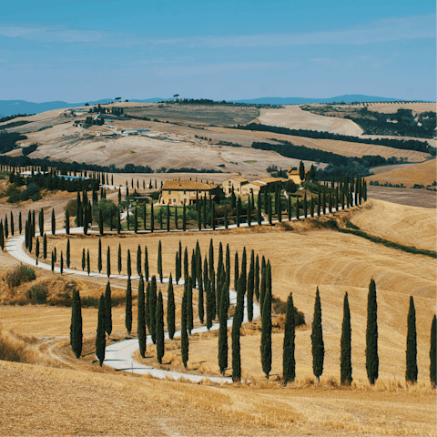 Explore the local Tuscan countryside